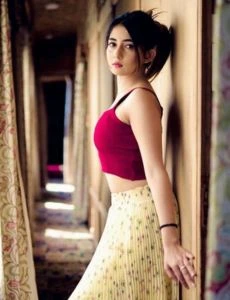 Call Girls Nellikuppam