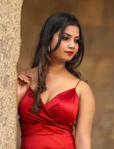 call girl service in Nellikuppam